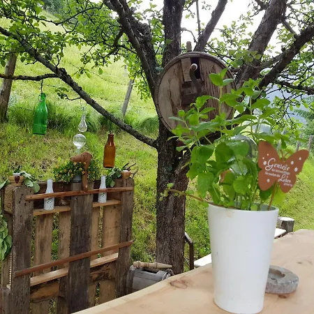 Gastein Chalet Bad Hofgastein