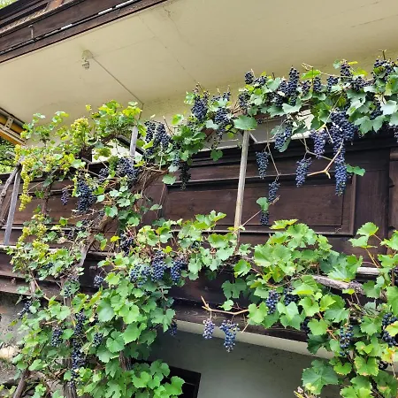 Gastein Chalet