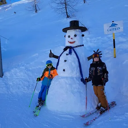 Chalet Gastein